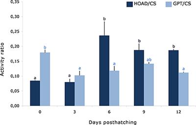 Time Course of Metabolic Capacities in Paralarvae of the Common Octopus, Octopus vulgaris, in the First Stages of Life. Searching Biomarkers of Nutritional Imbalance